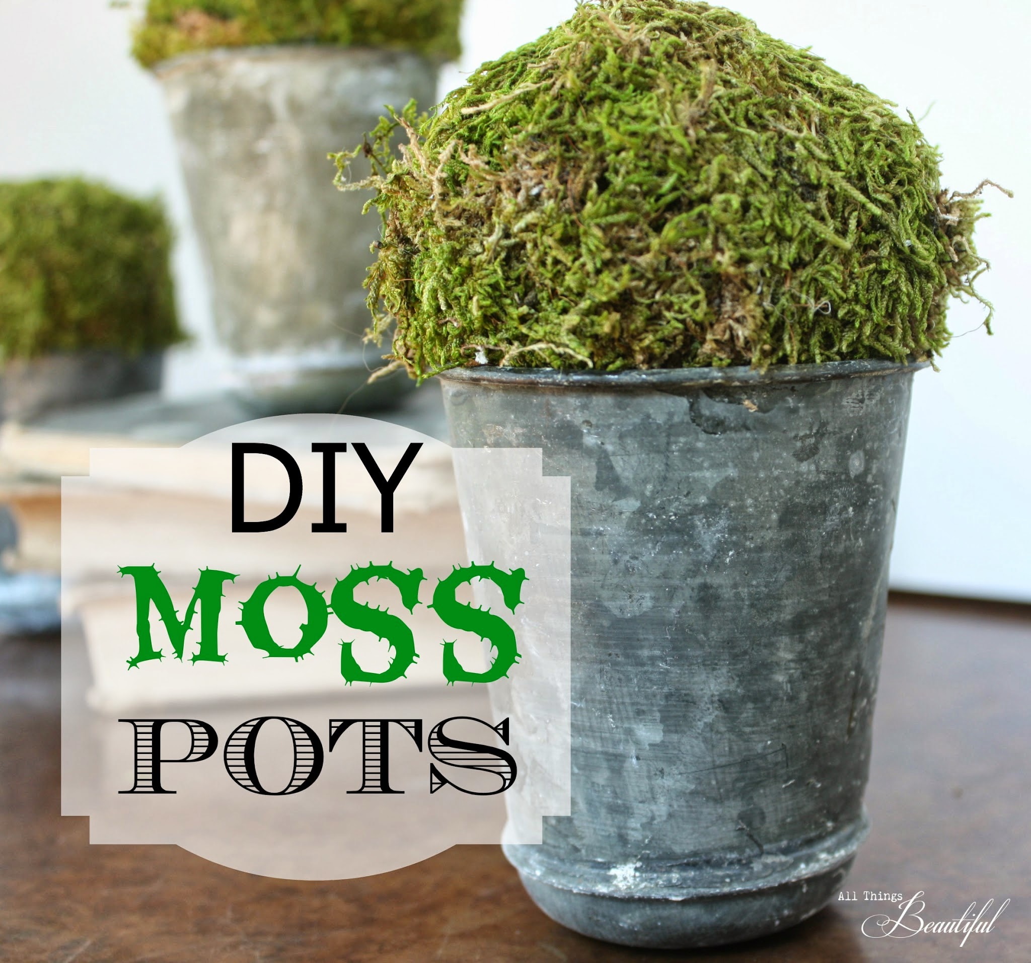 All Things Beautiful Diy Moss Zinc Pots