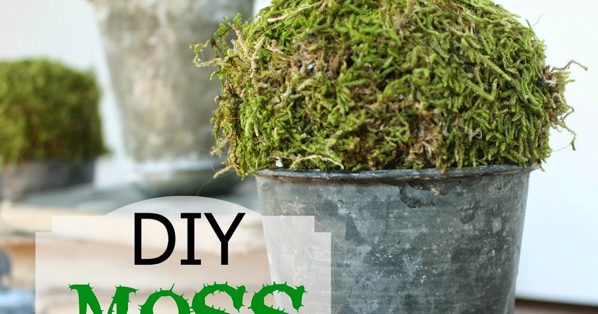 All Things Beautiful Diy Moss Zinc Pots