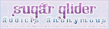 Sugar Glider Addicts Annoymous