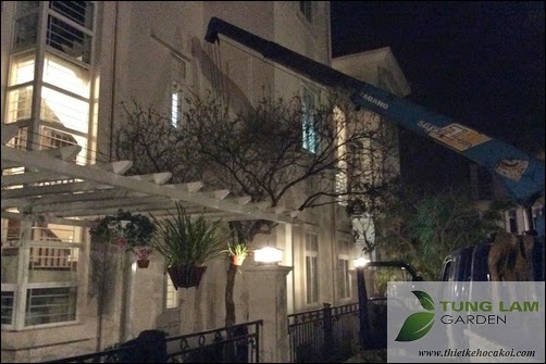Thiết kế hồ cá Koi đẹp, sân vườn Splendora với hồ cá Koi mini, cá Koi Nhật thân thiện Thiết kế hồ cá Koi đẹp, sân vườn Splendora với hồ cá Koi mini, cá Koi Nhật thân thiện