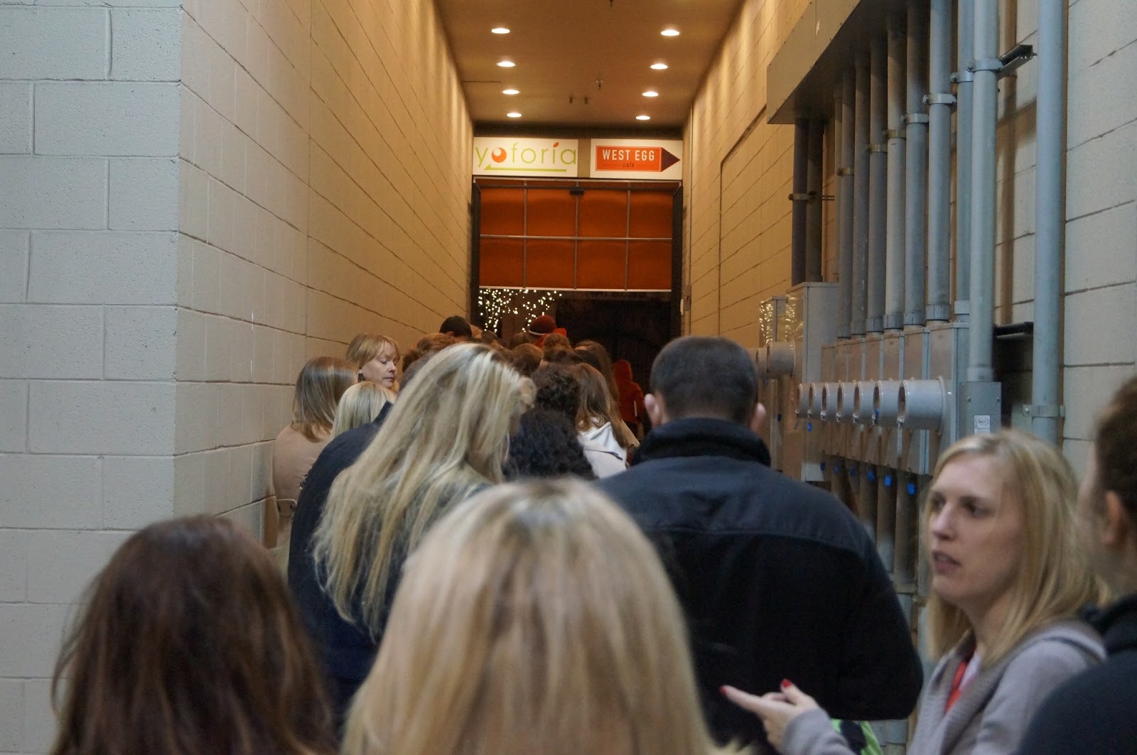 Don't Disturb This Groove Meeting Young House Love and Bower Power