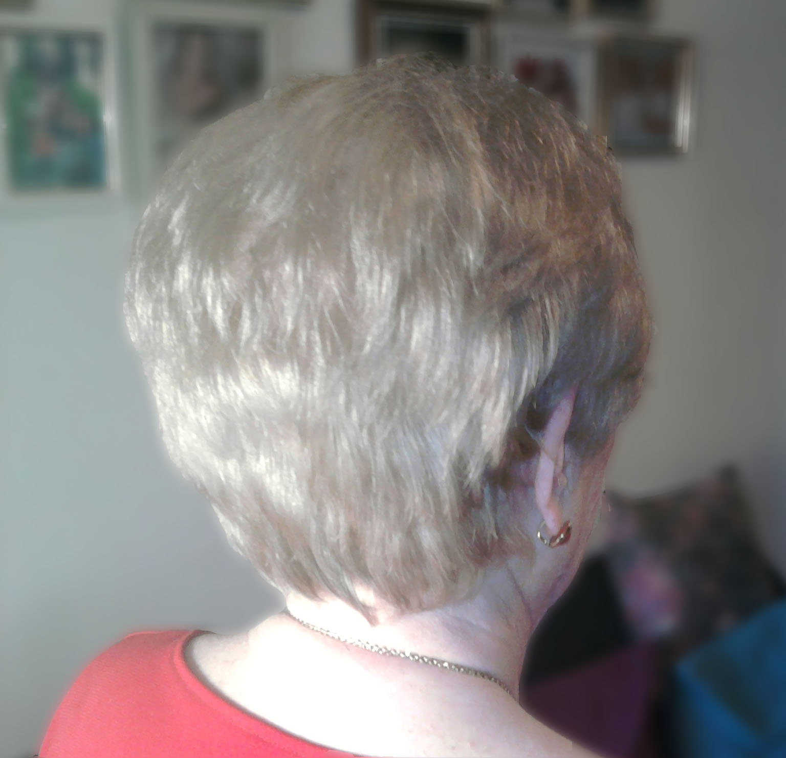 Mariposas en tu pelo: Corte y peinado clásico de señora