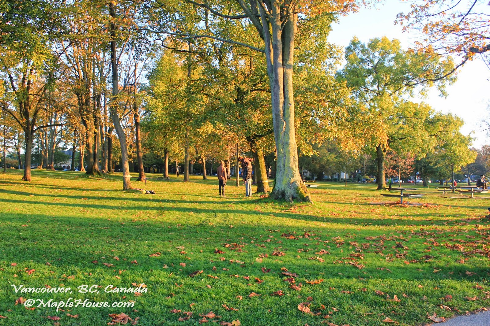 Living Vancouver Canada Kitsilano Beach Vancouver