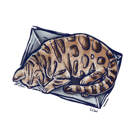 Libby Lamb Wagner Pangolin S Bike