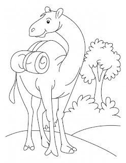 Camel Coloring Page | Kids coloring pages