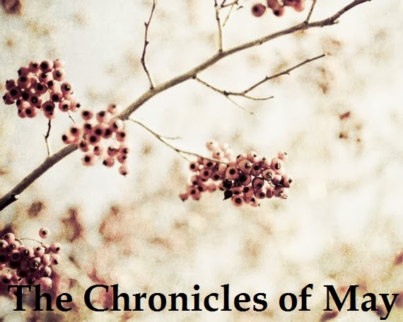 The Chronicles of May