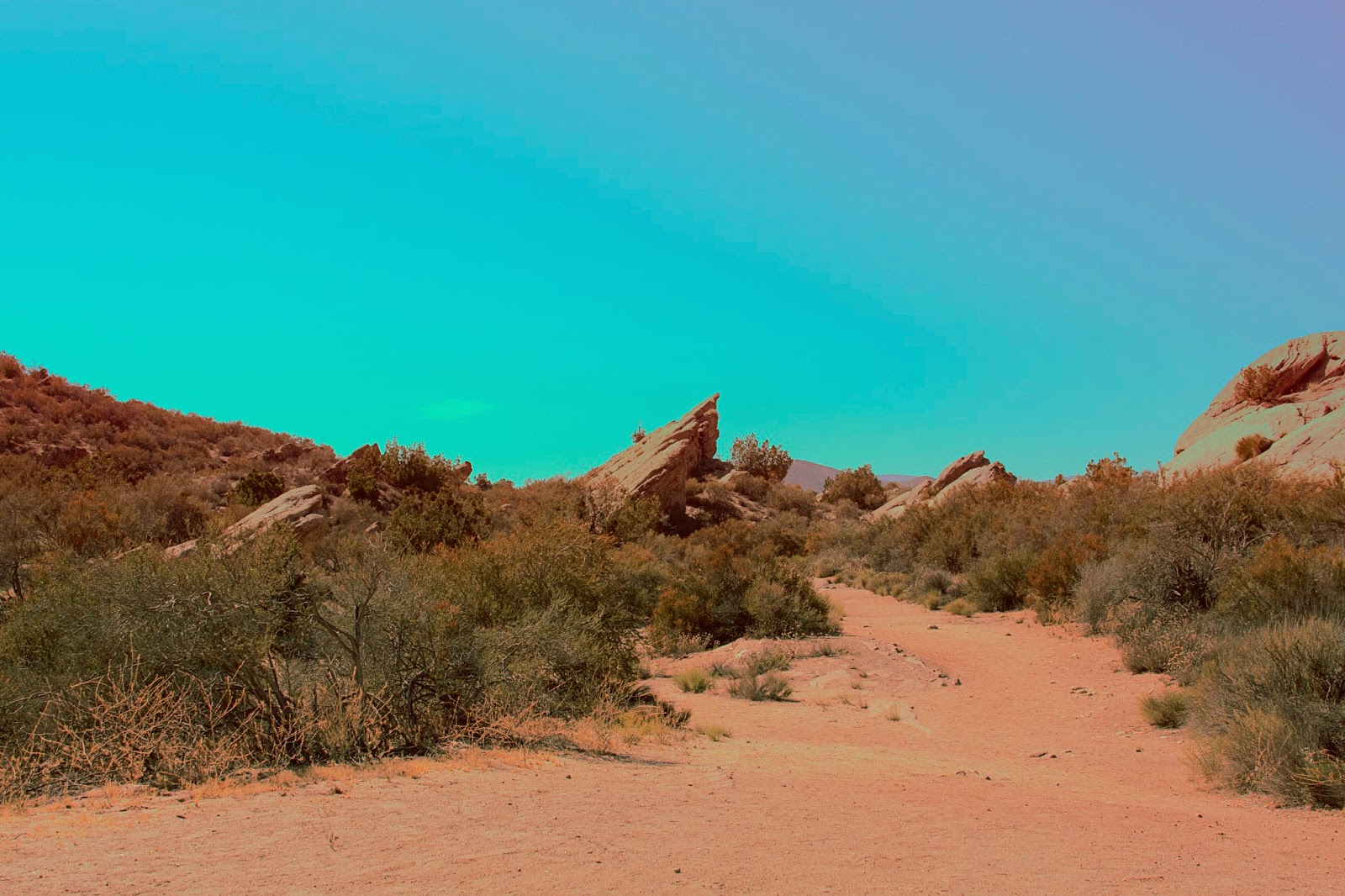 kelsey stefanson / art direction + graphic design + photography