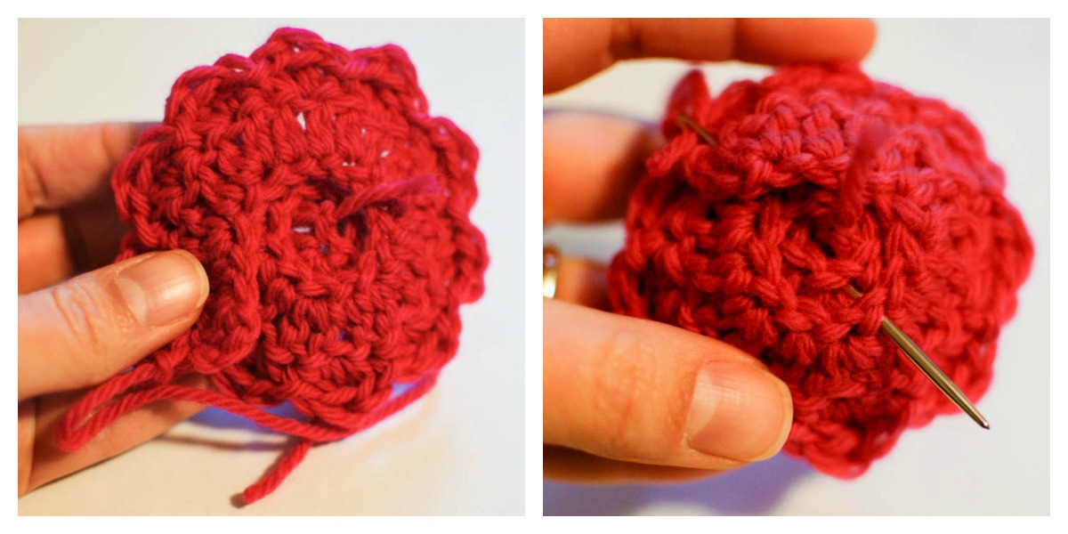 Rose Pattern Petals to Picots