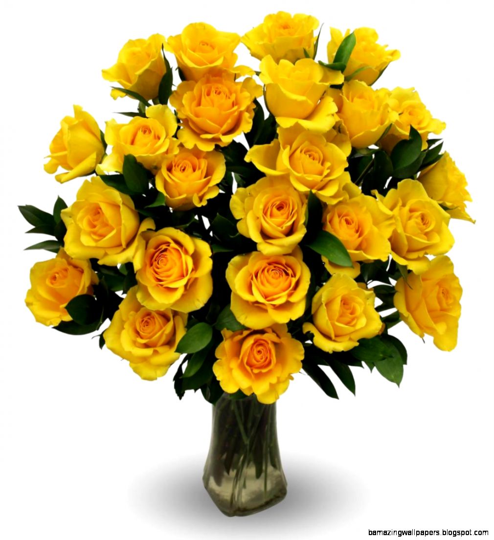 Yellow Roses Two Dozen Avas Flowers Yellow Roses Two Dozen Avas Flowers