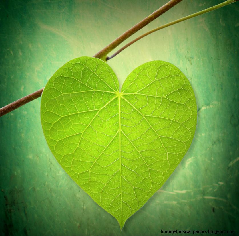 Heart Leaf Art — Crafthubs Heart Leaf Art — Crafthubs