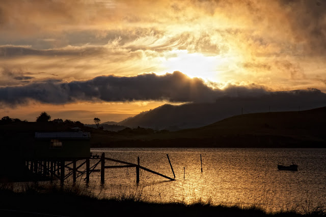 Sunset, Otago Harbour, South Island, New Zealand