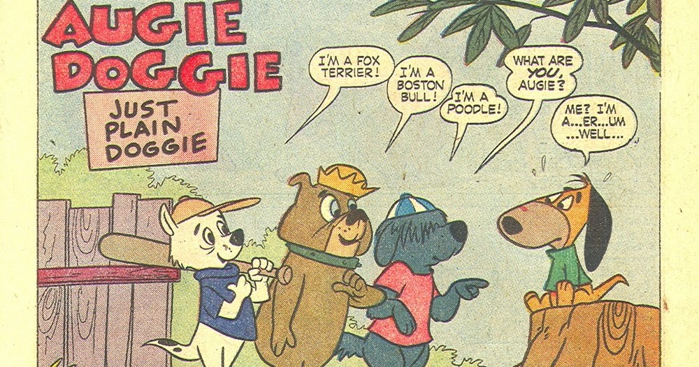 80  Augie Book for Kids