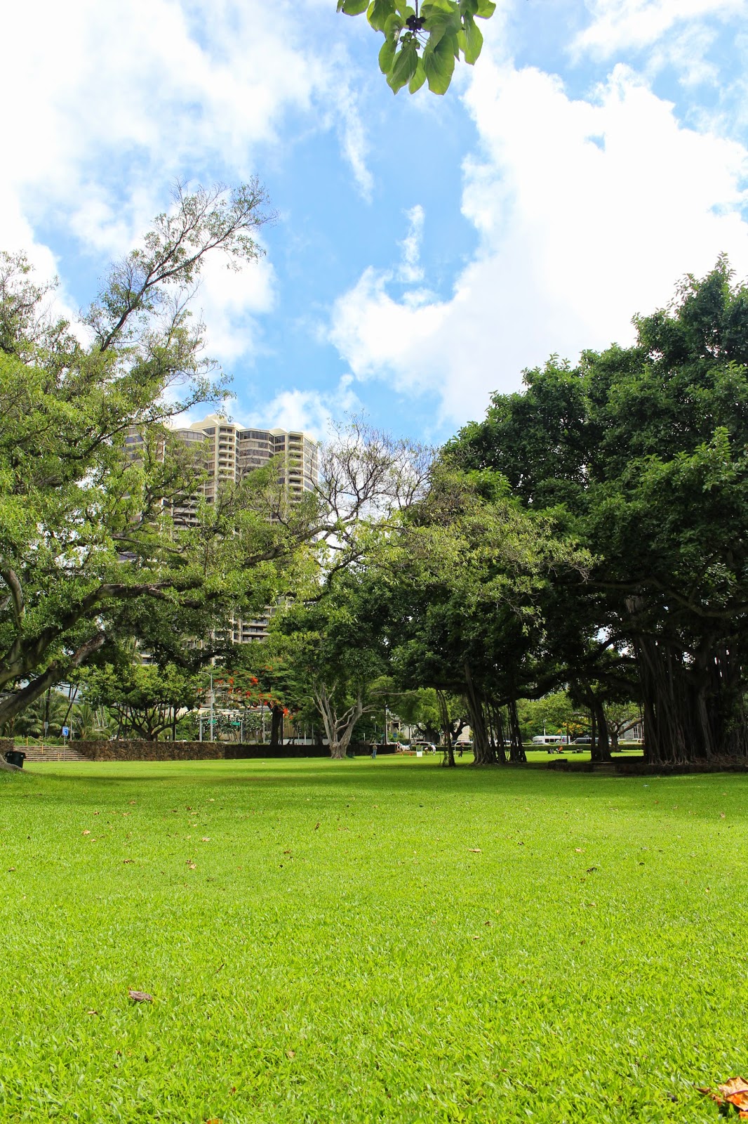 New Beginnings: Two Weeks in Paradise