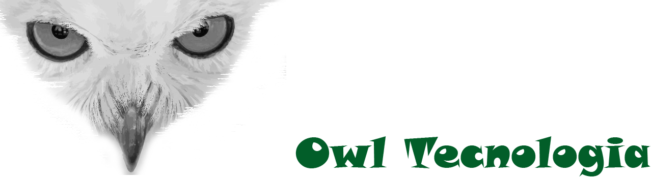 Owl Tecnologia