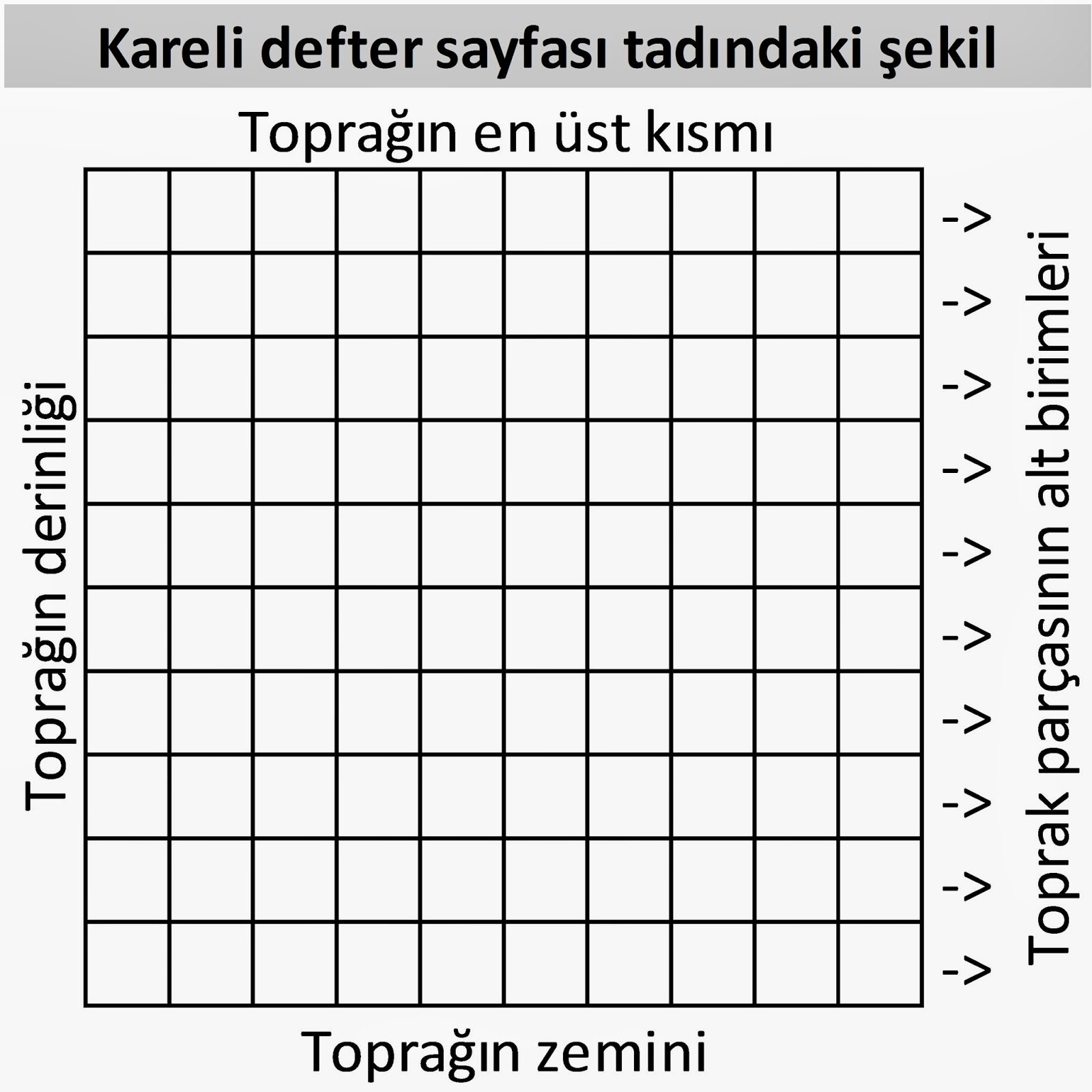 Ağız boşluğuna dikkat. Diş eti için balsam Asepta 82