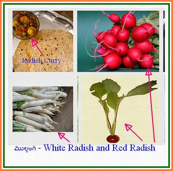 ఆహారము ఆరోగ్యము , Food & Health (Telugu) Radish,ముల్లంగి (సొత్తిదుంప)