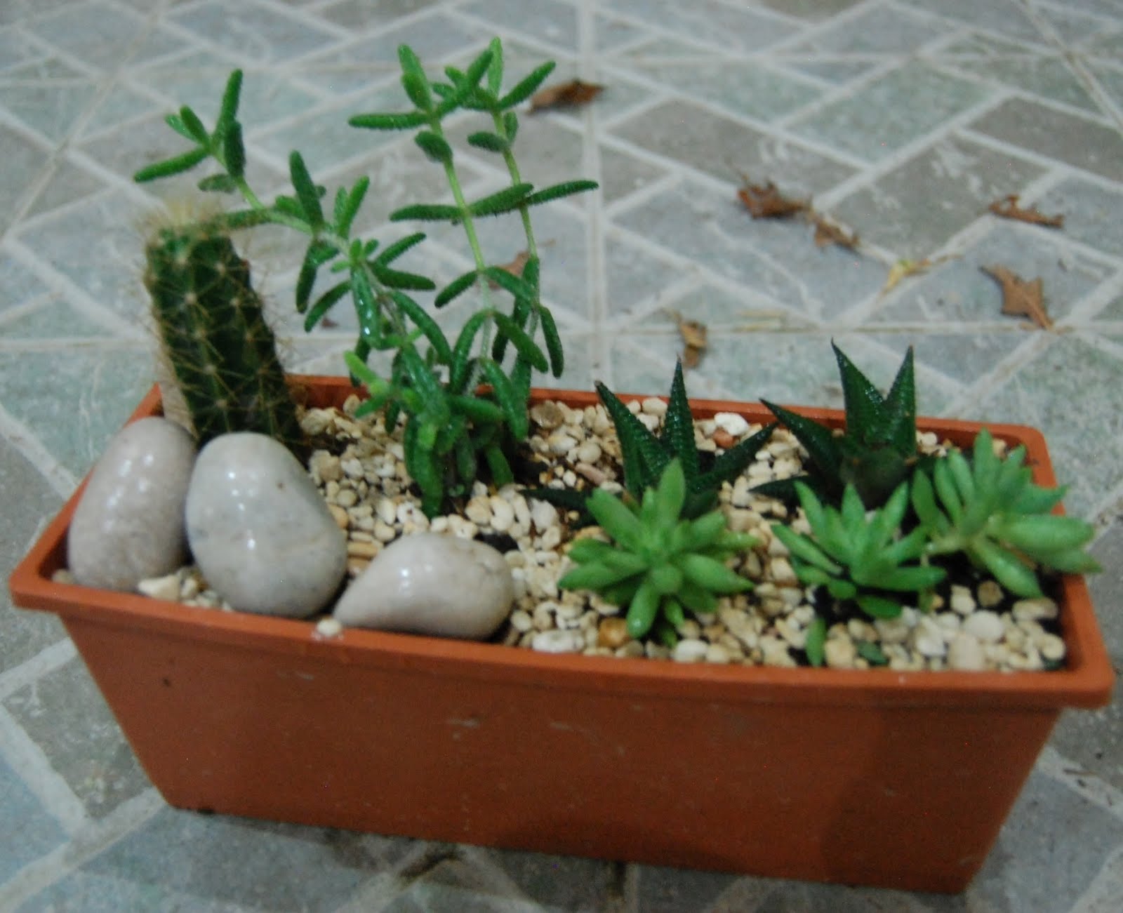 Journal & Spice Dish Garden