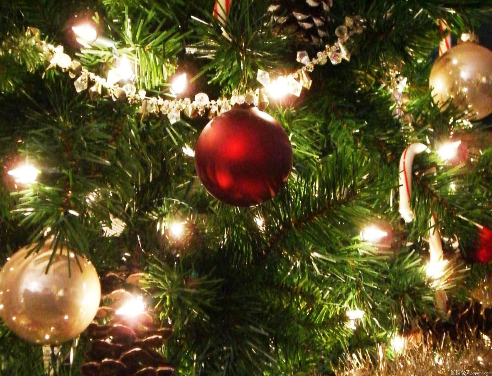 picture quiz questions christmas picture quiz questions picture quiz questions christmas picture quiz questions