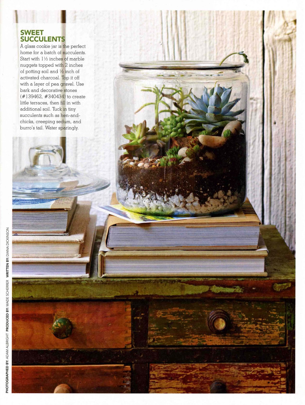 Donna's Art at Mourning Dove Cottage Tabletop Gardens