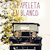"La papeleta en blanco" de Almudena Navarro Cuartero