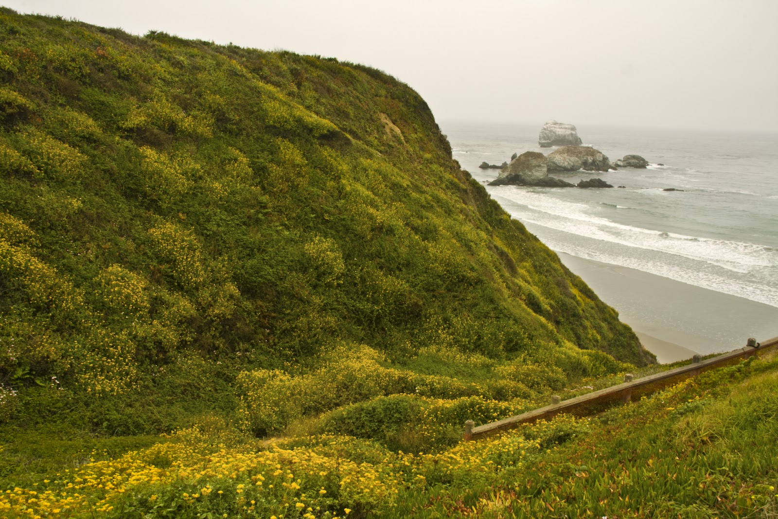 Offshore Winds Big Sur Surf on the California Coast