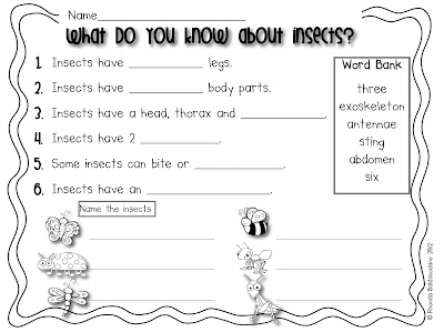 Classroom Fun: Insect or Not? Freebie