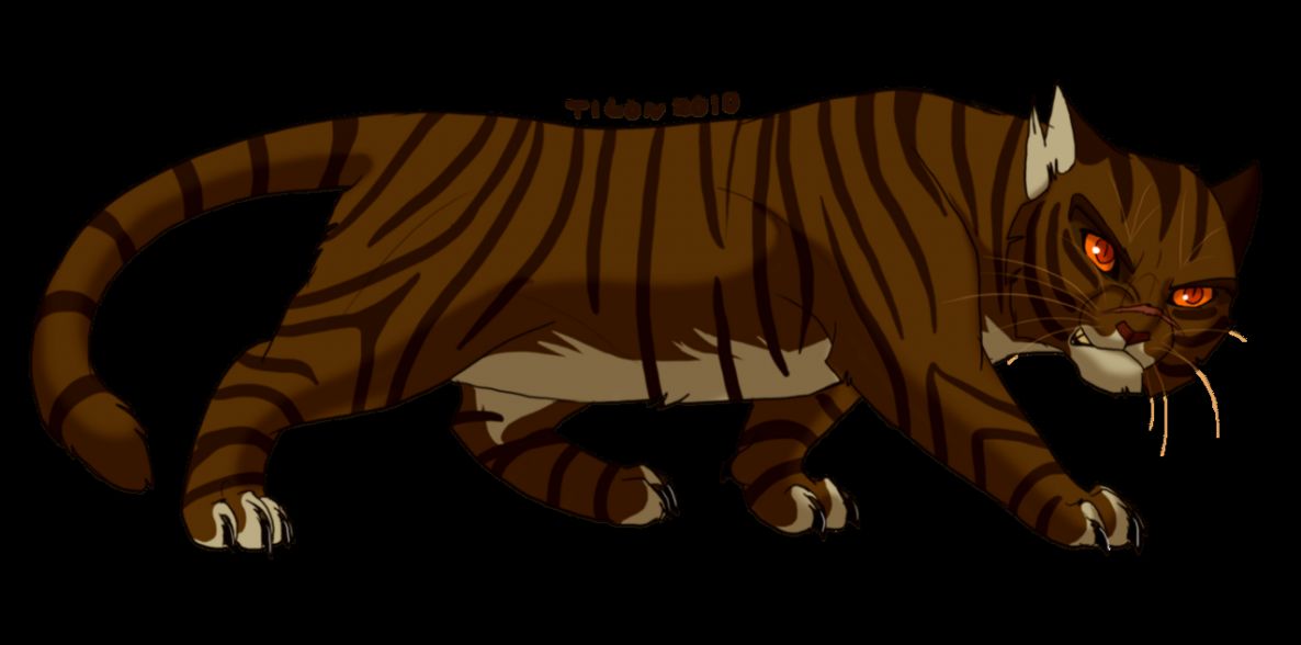 Tigerstar by tigon on DeviantArt Tigerstar by tigon on DeviantArt