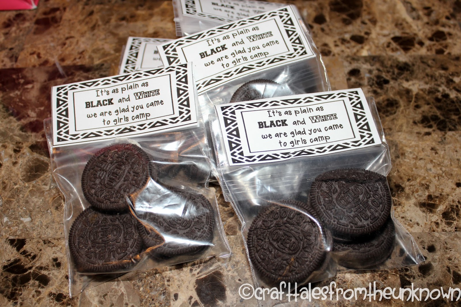 Creations Pillow Treats for Girls Camp