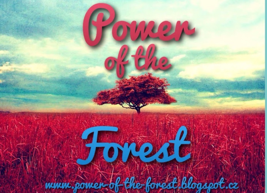 Power of the forest