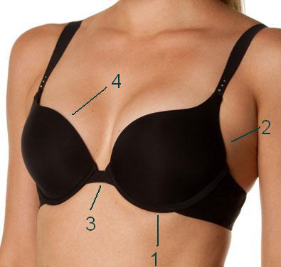 find the right bra size healthybeauty b cup breast size