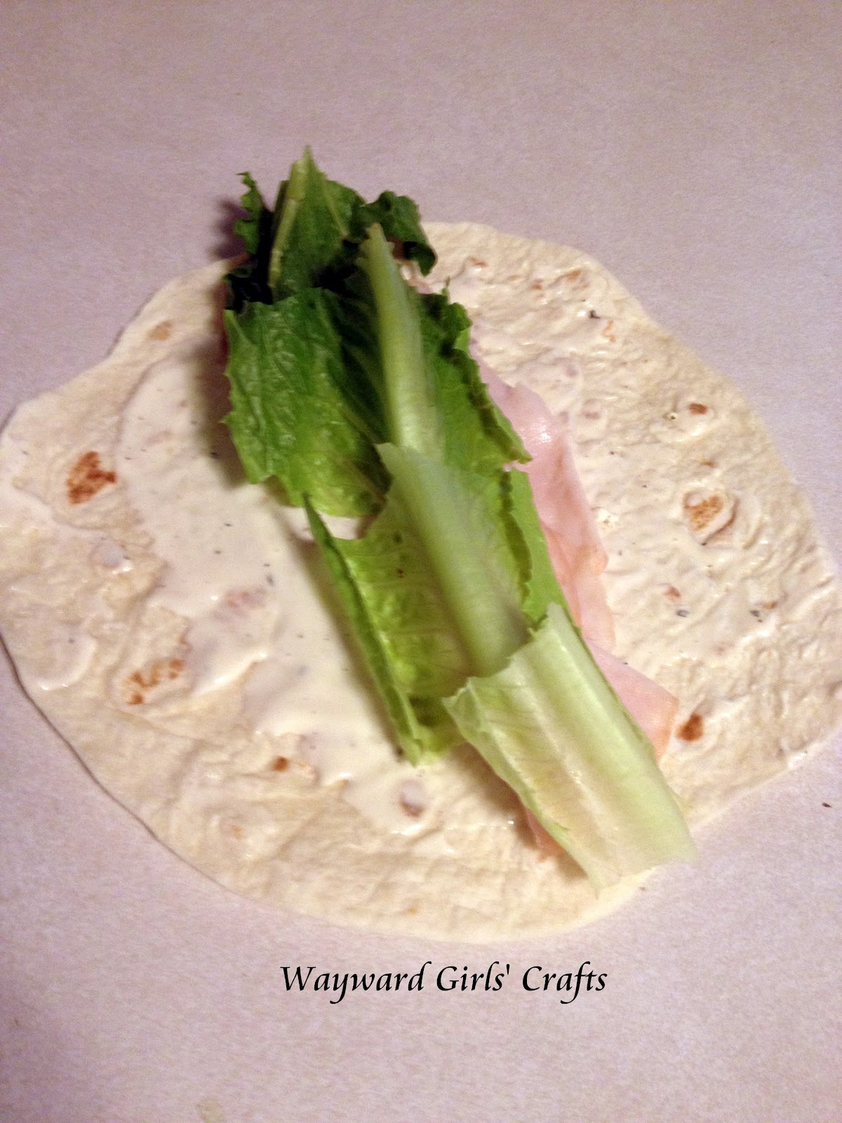 Wayward Girls' Crafts Low Calorie Wrap