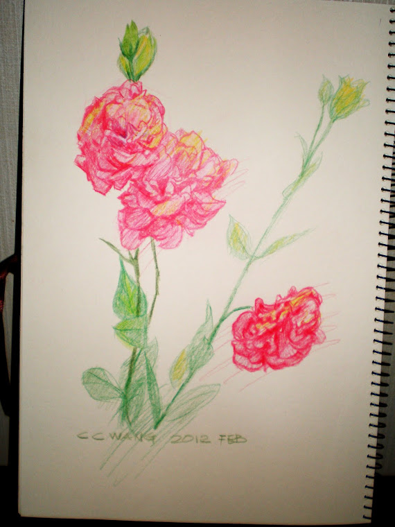 color pencil - flower
