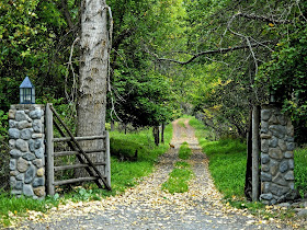 Nature Gallery