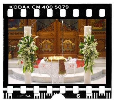 Lambadeswhitecallalilyfilmstrip