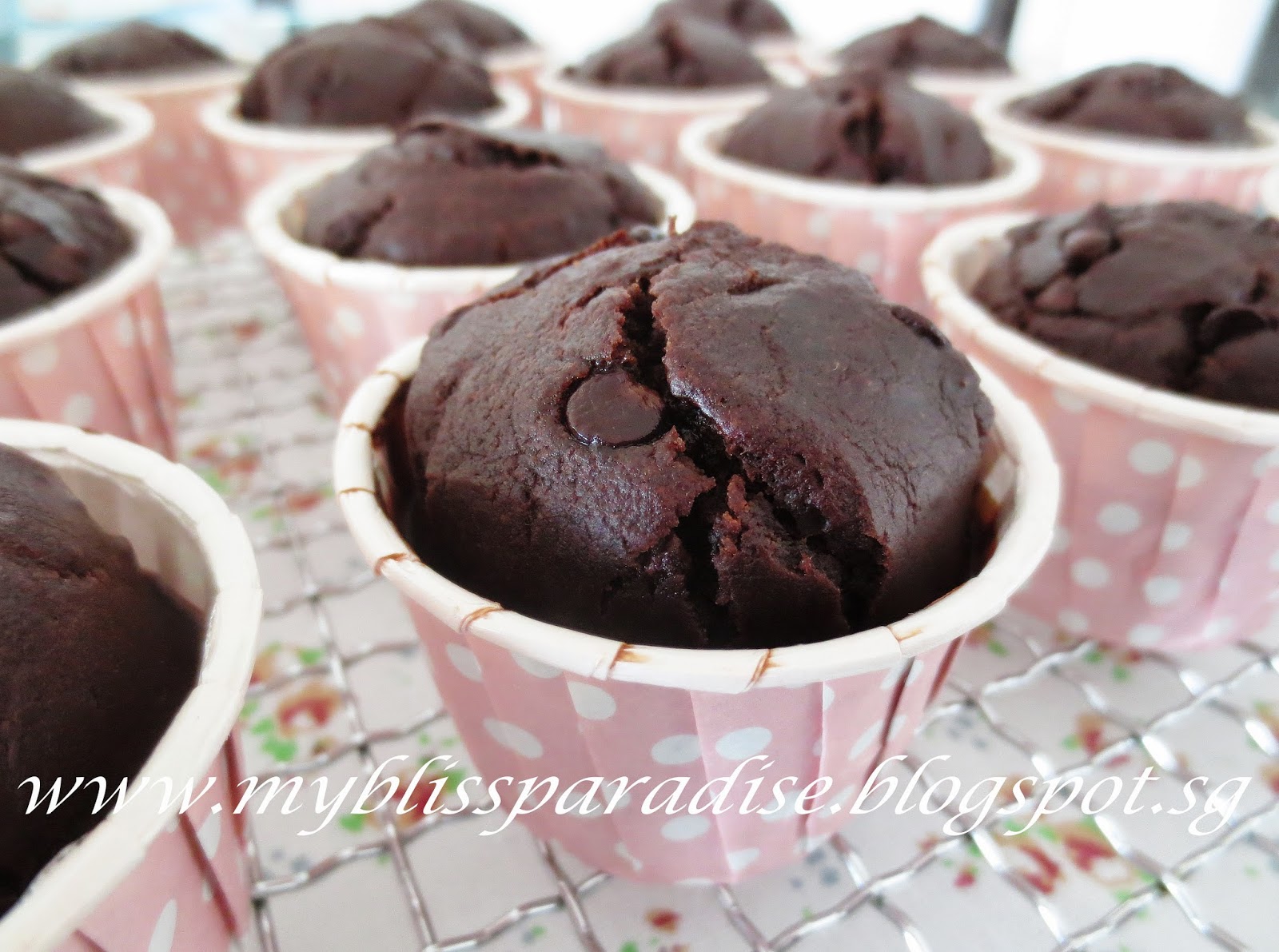 http://myblissparadise.blogspot.sg/2014/06/double-chocolate-cupcakes-18-mar-14.html