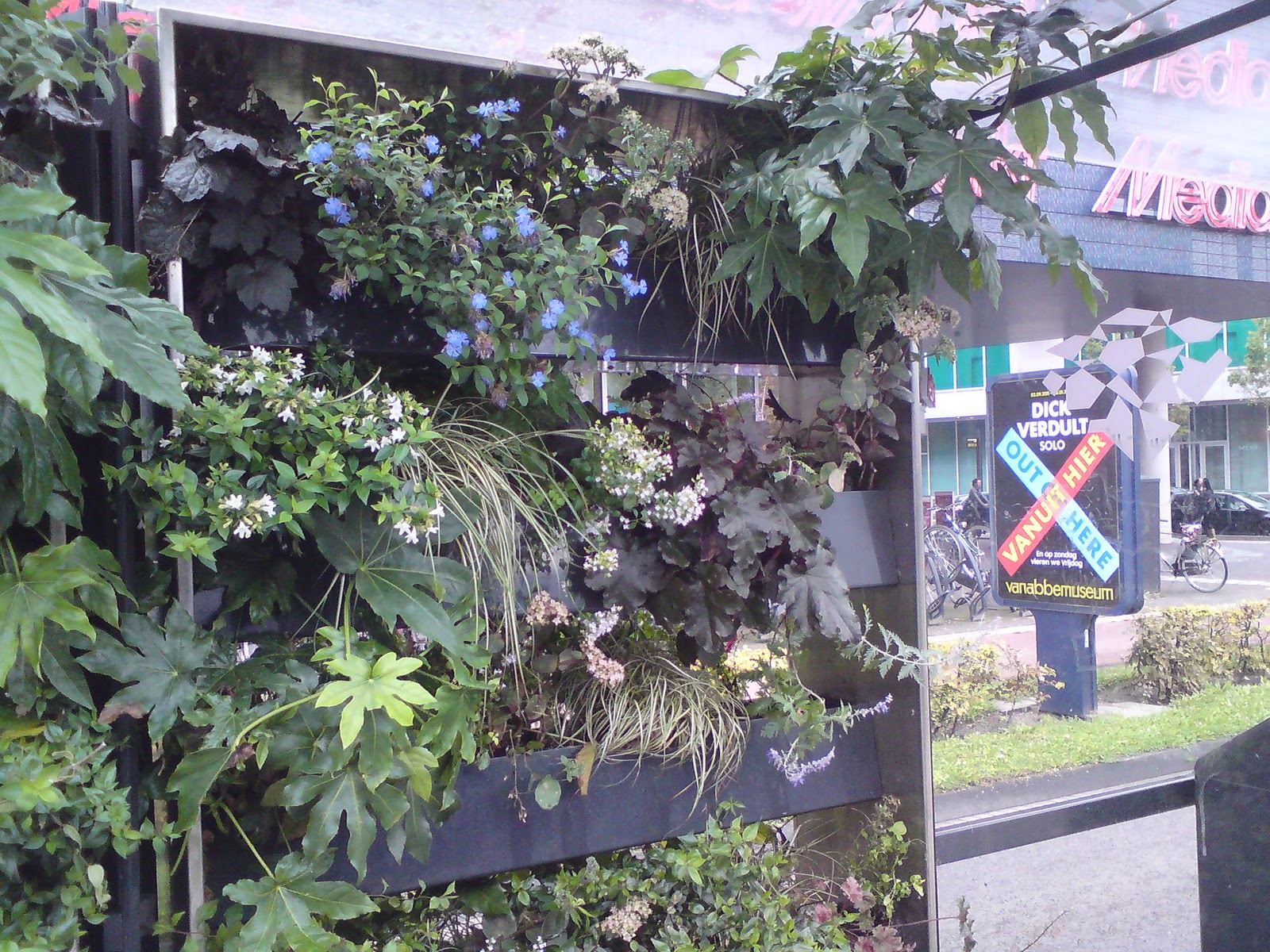 Releaf trädgård: oktober 2011