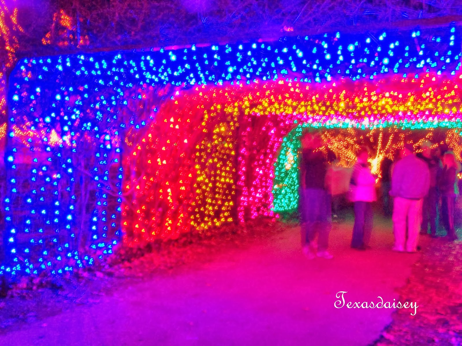 Texasdaisey Creations Festival of Lights