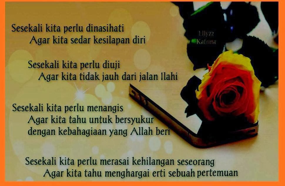 Cerita Greenzfa Lirik Lagu Takut Amalia Alias