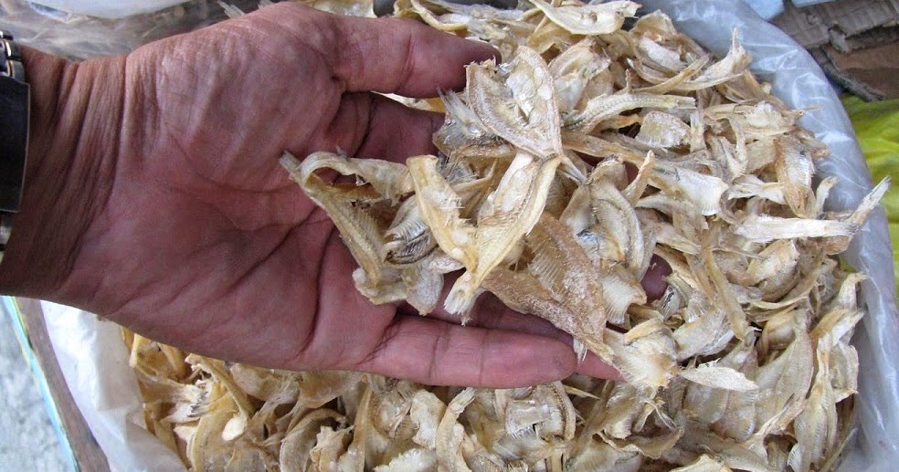 Philippine Food Illustrated dilis (deboned and dried)