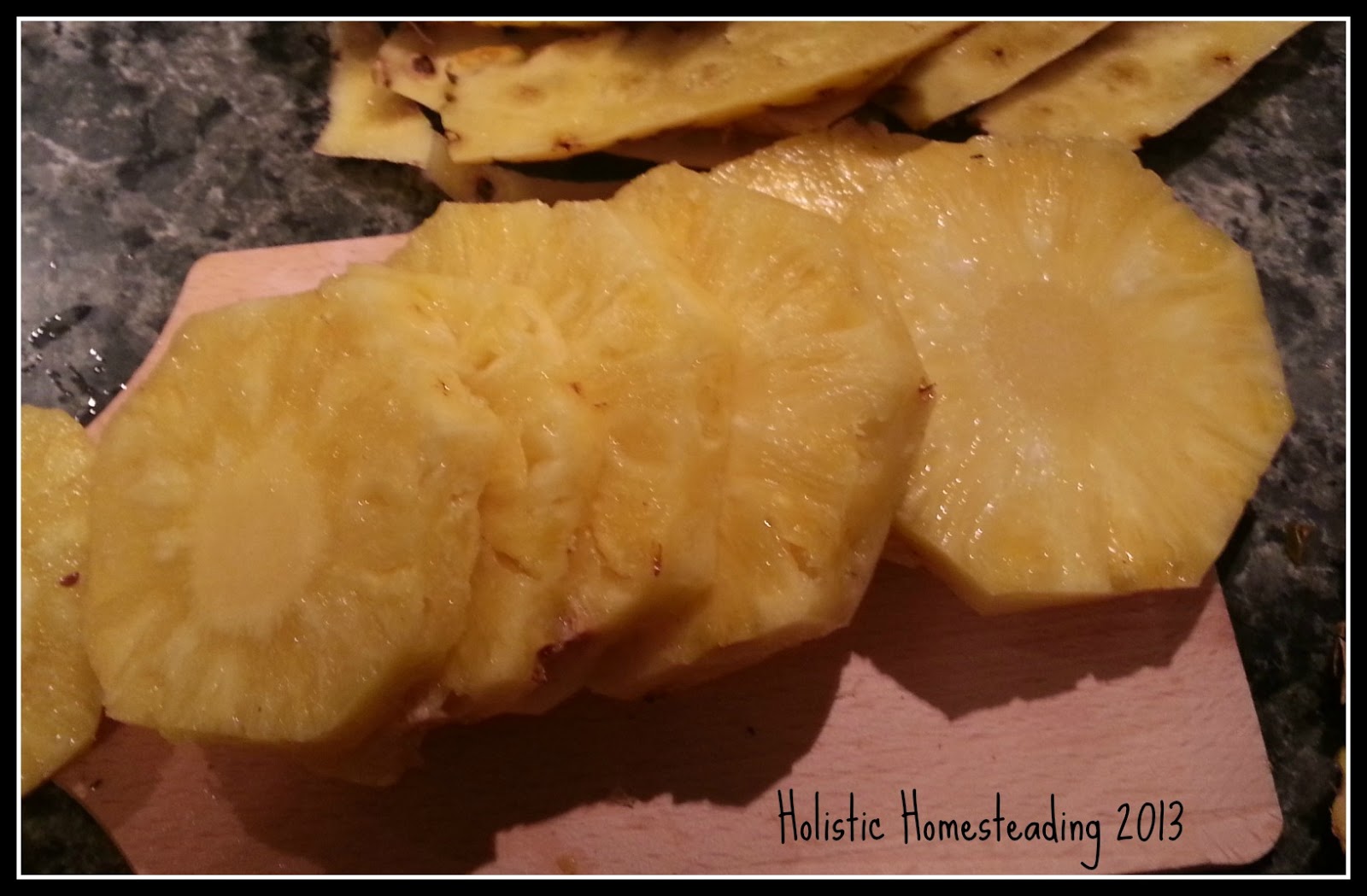 Holistic Homesteading Dehydrator Recipes Mango & Pineapple Fruit Leather