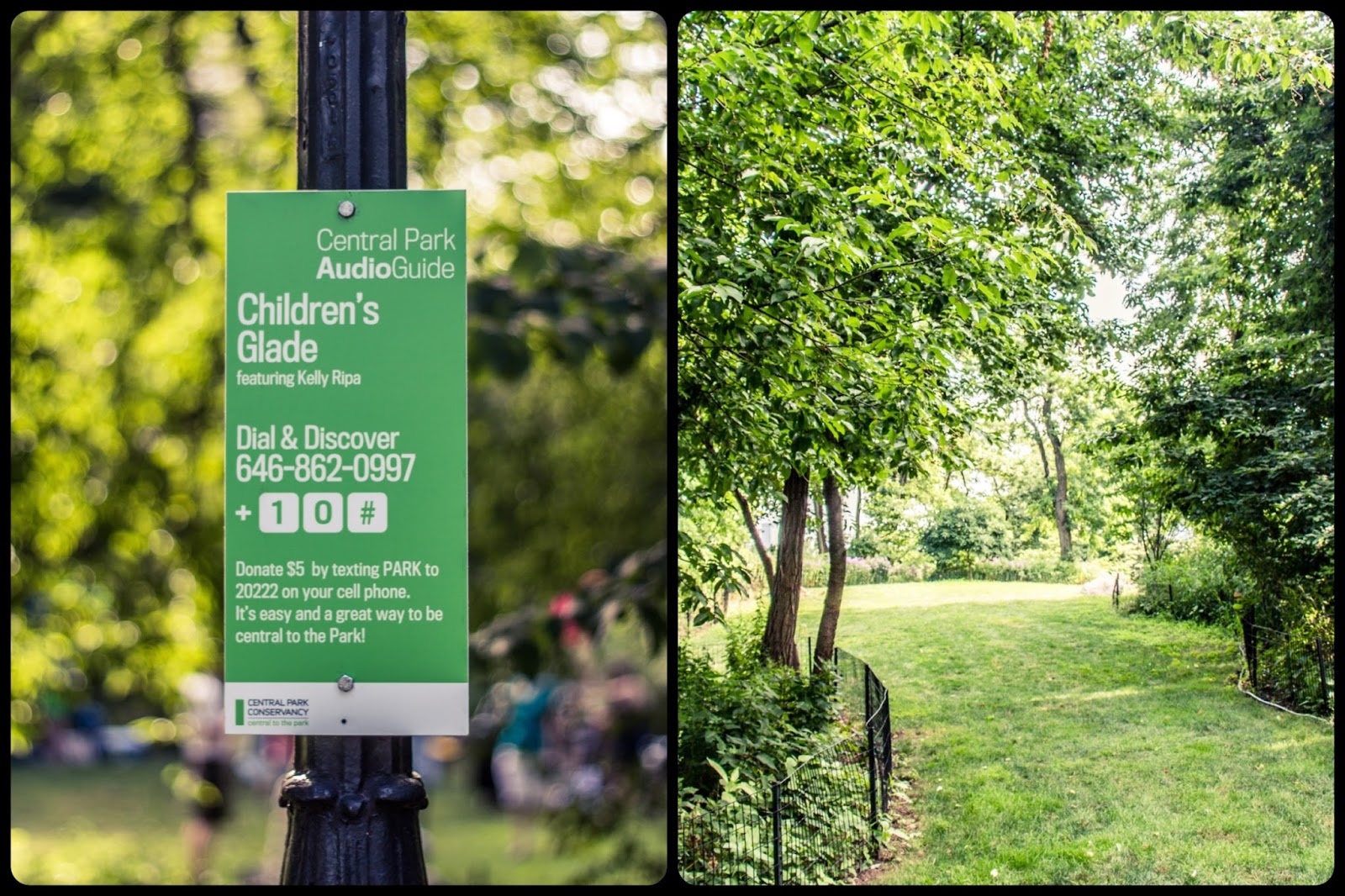 Curiosités et futilités à New York