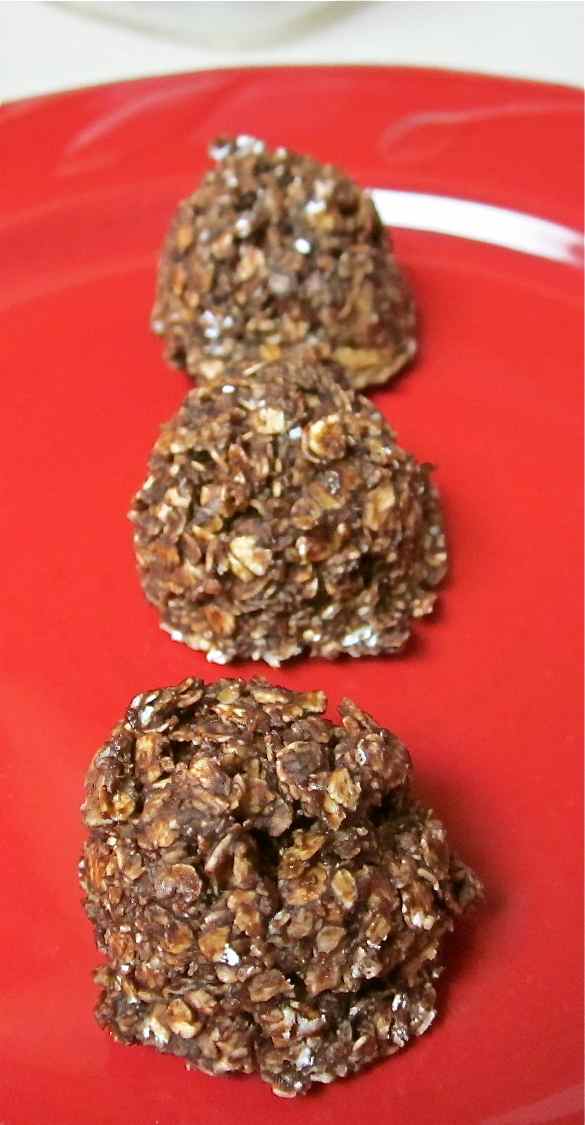 Karen’s Vegan Kitchen Quick Chocolate Oatmeal Drops No Cooking Required
