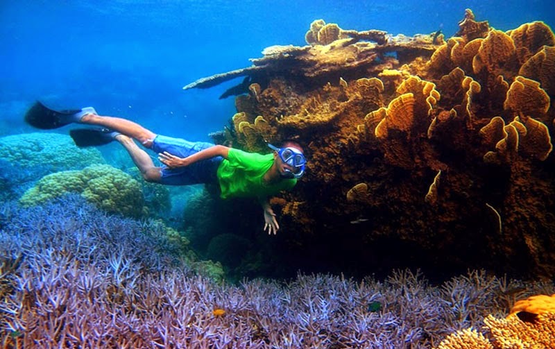 bawah laut karimunjawa