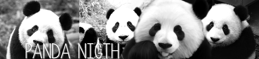 Panda Nigth 