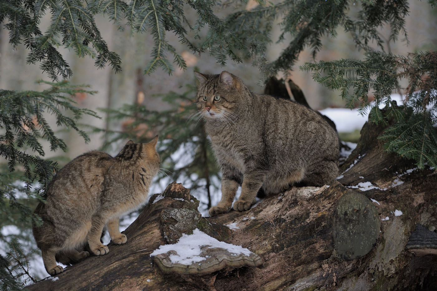 de vous avoir rencontrés
