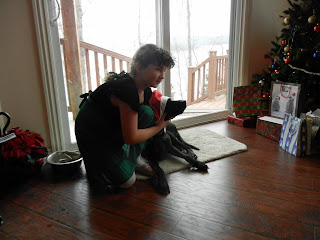 My sister tried to put a santa hat on our dog Sammy