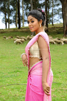 Poorna, hot, navel, show, in, saree