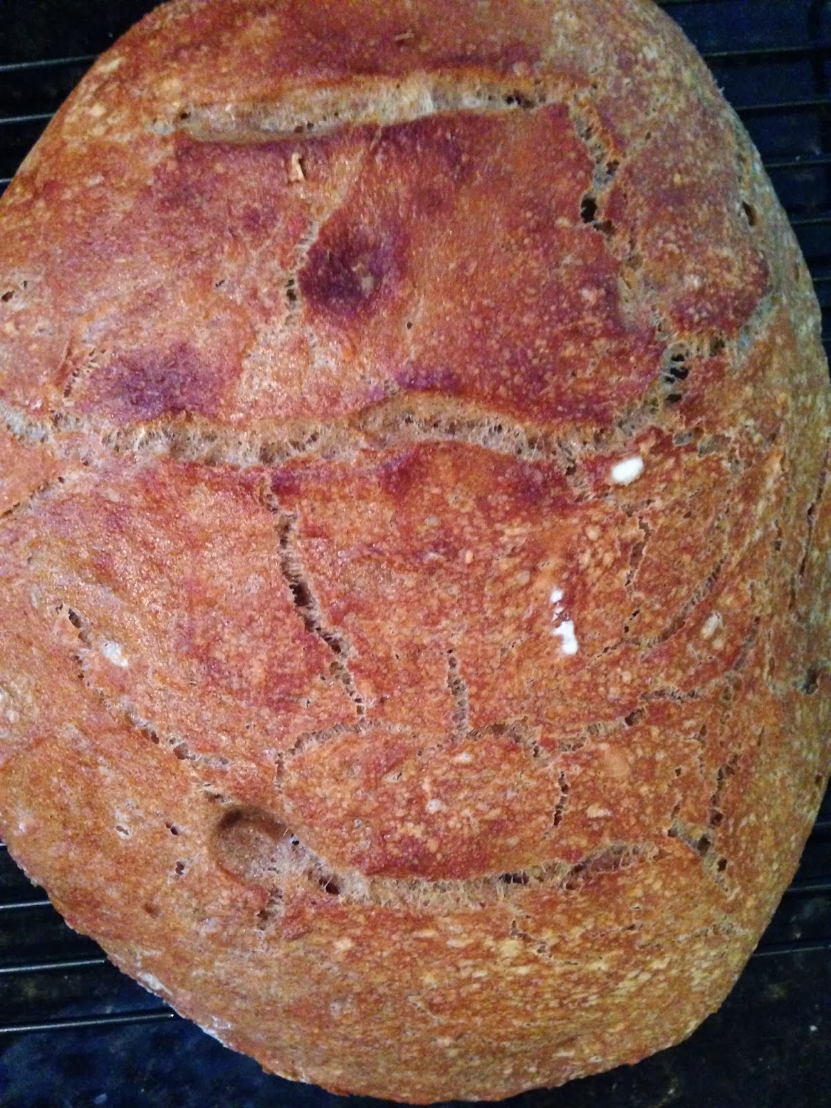Delicious Nadine Sour Dough Michael Pollan's WholeWheat Country Loaf