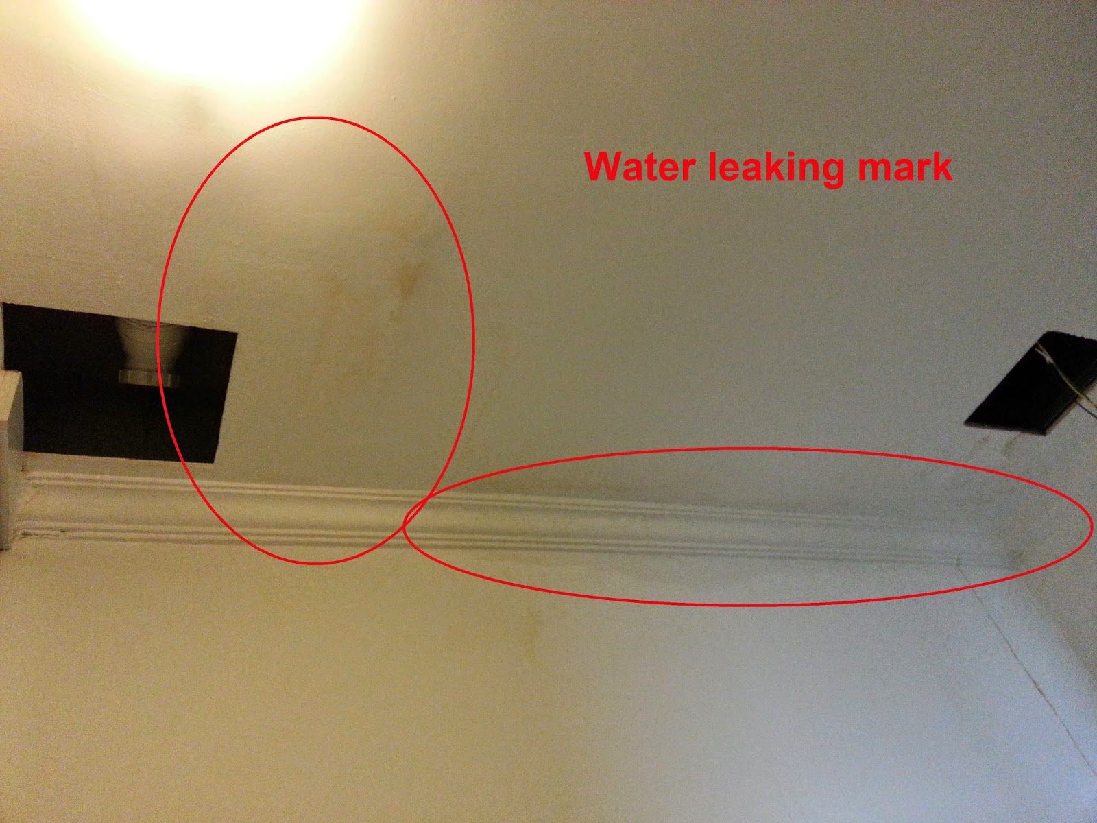 Roof Toilet Water Leaking Repair Waterproofing Contractor