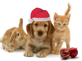 Occupy! for the animals. Animal Magazines: Animals Christmas